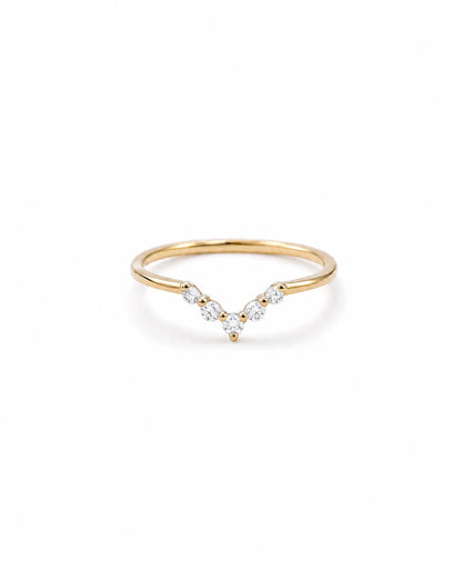 ring 2